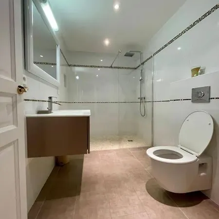 Avec Piscine Et Jacuzzi A Ajaccio